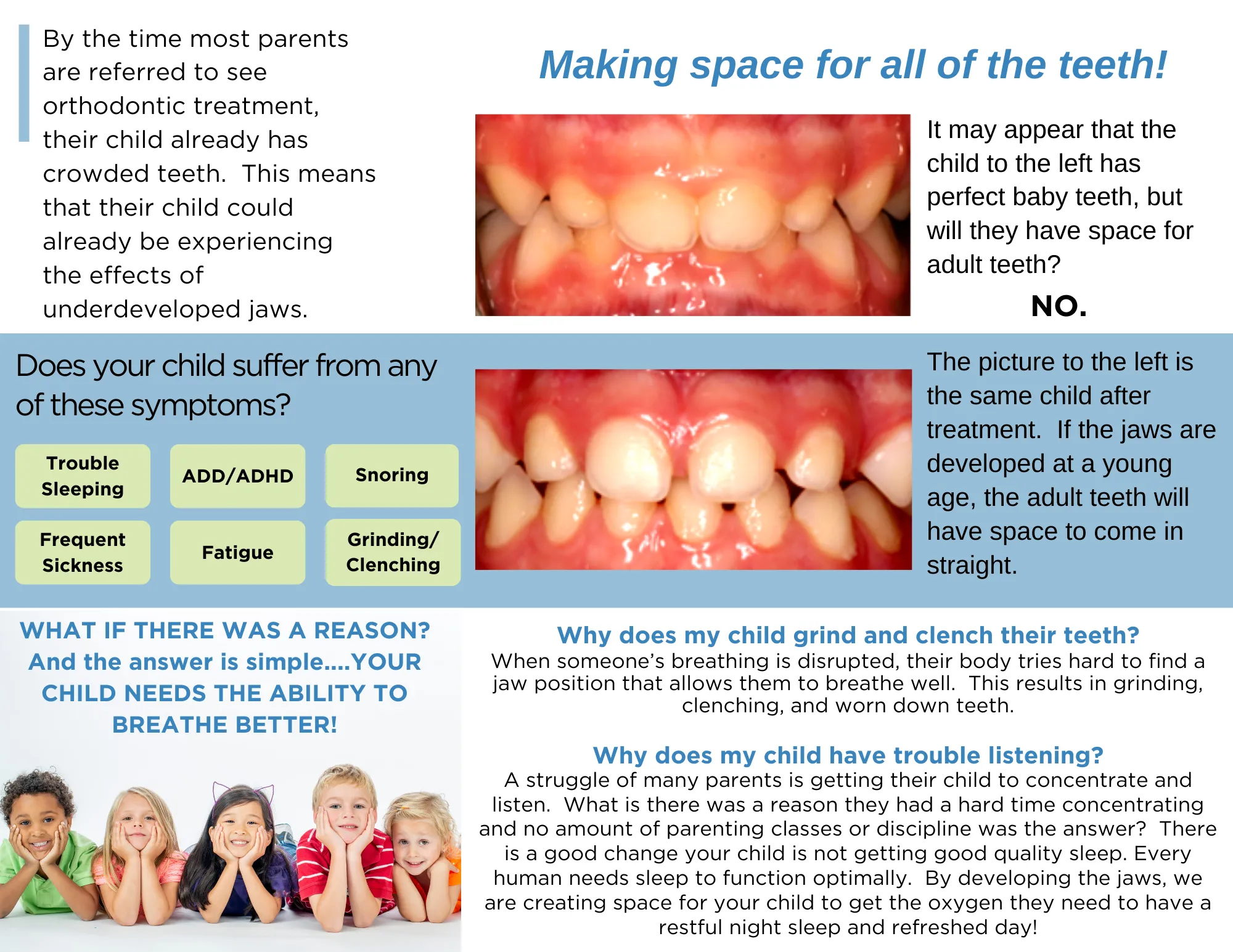 What does the Primary Dentition Tr-Fold Brochure look like? image